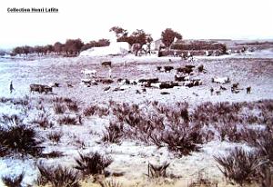 Images d'Algerie 074